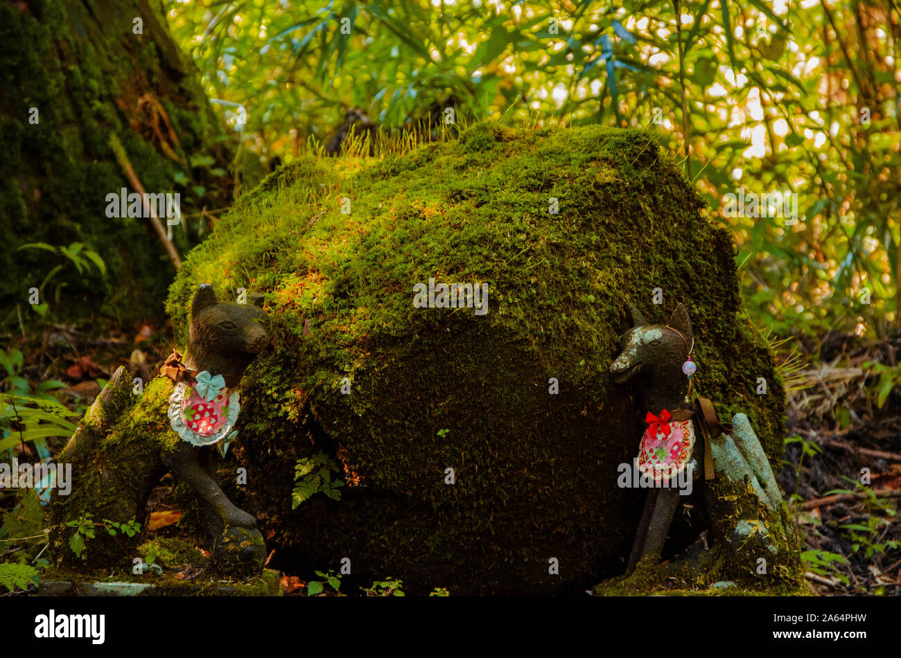 Fox en Hakone Shrine, Japon Banque D'Images