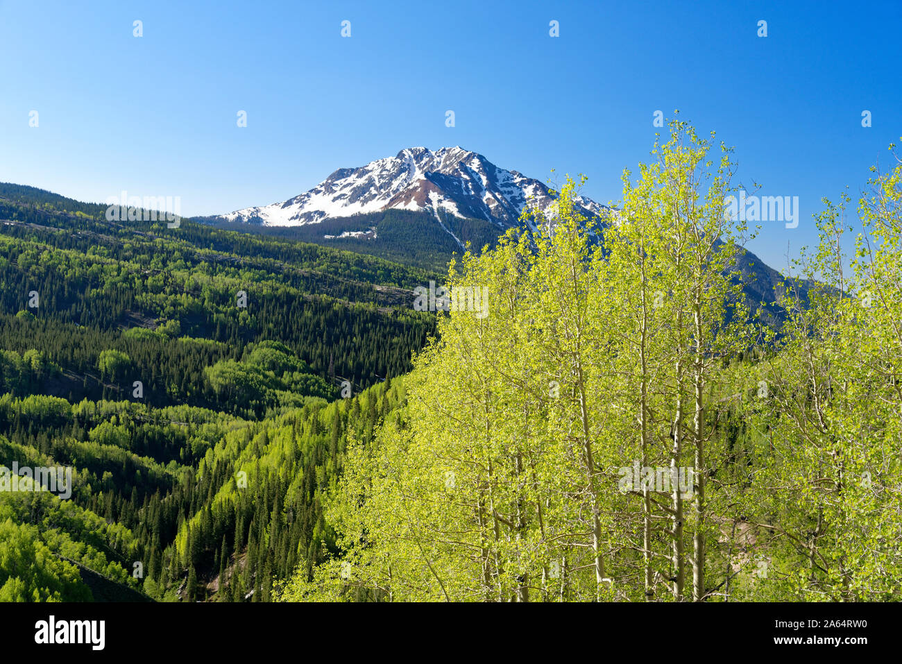 Paysage le long de la San Juan Skyway, Colorado Banque D'Images
