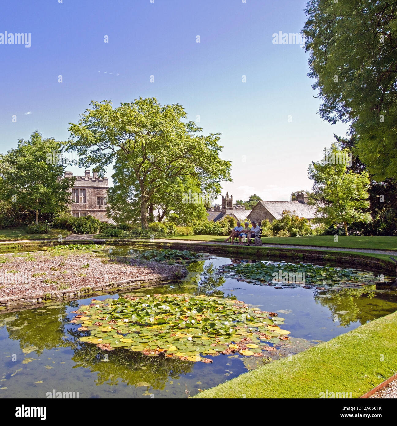 Water Lily Pond dans les motifs de Cotehele House dans la Tamar Valley Cornwall Banque D'Images