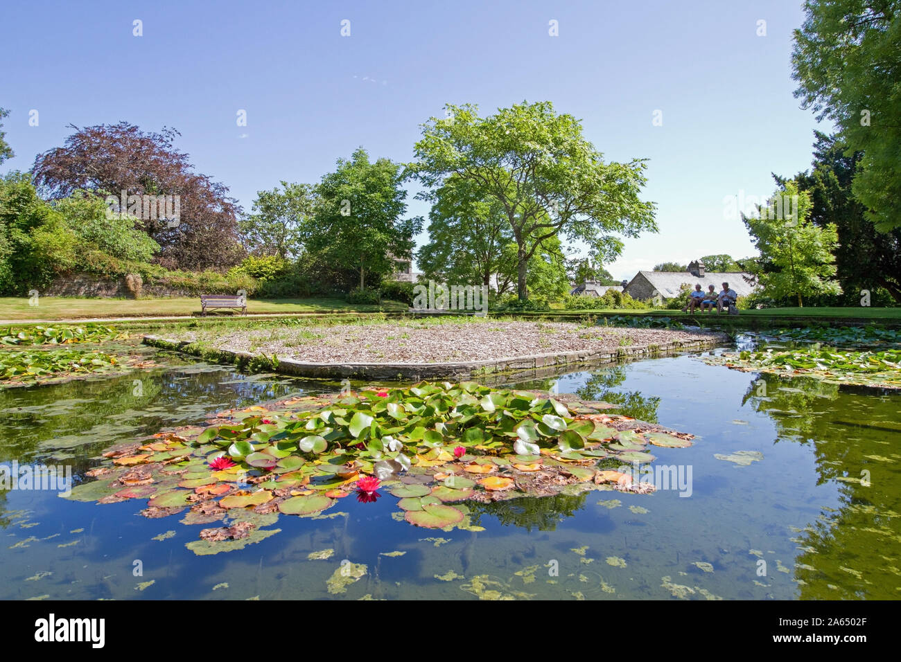 Water Lily Pond dans les motifs de Cotehele House dans la Tamar Valley Cornwall Banque D'Images