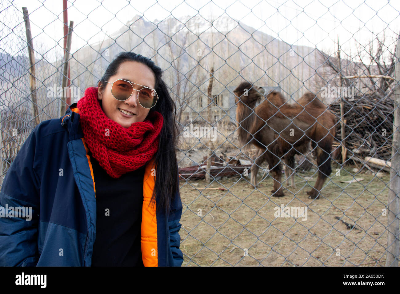 Les femmes thaïlandaises voyageurs debout pour prendre une photo à l'intérieur de chameau à cage Home Maison de village trekking dans la vallée de Nubra tehsil tout en saison d'hiver à Leh Banque D'Images