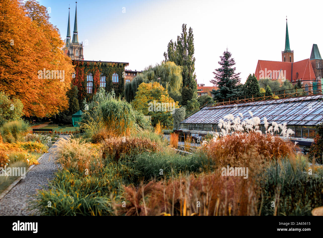 Jardin botanique de Wroclaw, Pologne. Le jardin a été construit de 1811 à 1816 à l'île de la cathédrale (Ostrow Tumski), la partie la plus ancienne de la ville. Banque D'Images