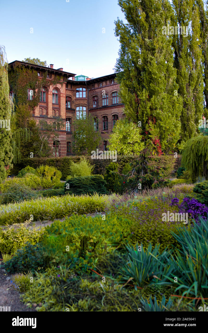 Jardin botanique de Wroclaw, Pologne. Le jardin a été construit de 1811 à 1816 à l'île de la cathédrale (Ostrow Tumski), la partie la plus ancienne de la ville. Banque D'Images