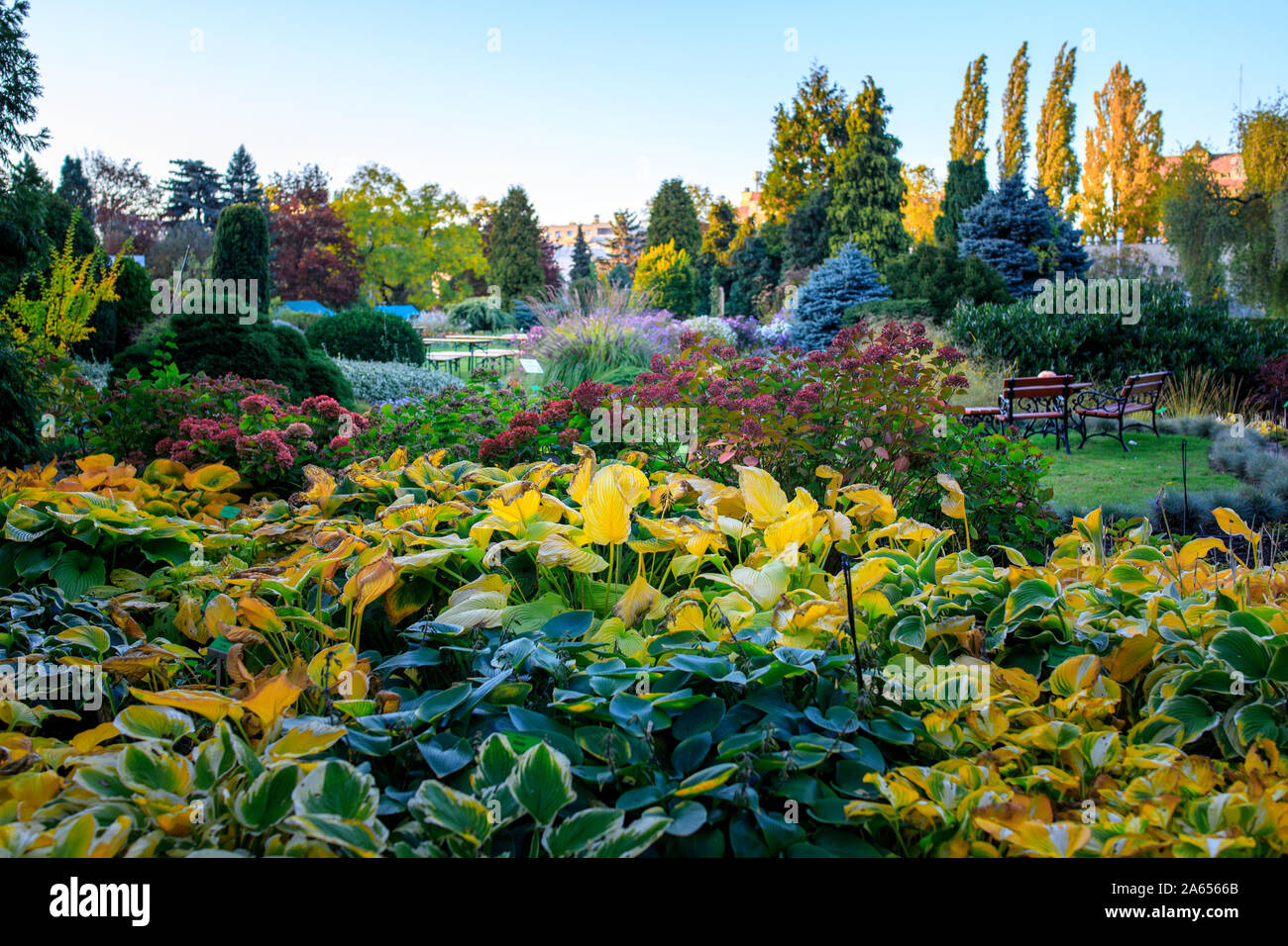 Jardin botanique de Wroclaw, Pologne. Le jardin a été construit de 1811 à 1816 à l'île de la cathédrale (Ostrow Tumski), la partie la plus ancienne de la ville. Banque D'Images