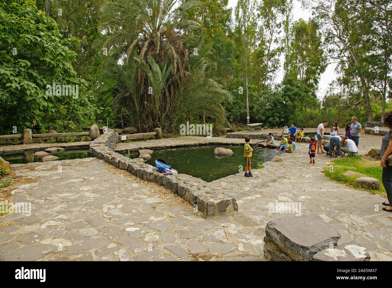 Eden Park, sur le plateau du Golan, Israël. Solukia printemps la source de l'eau minérale en bouteille Mei Eden Banque D'Images