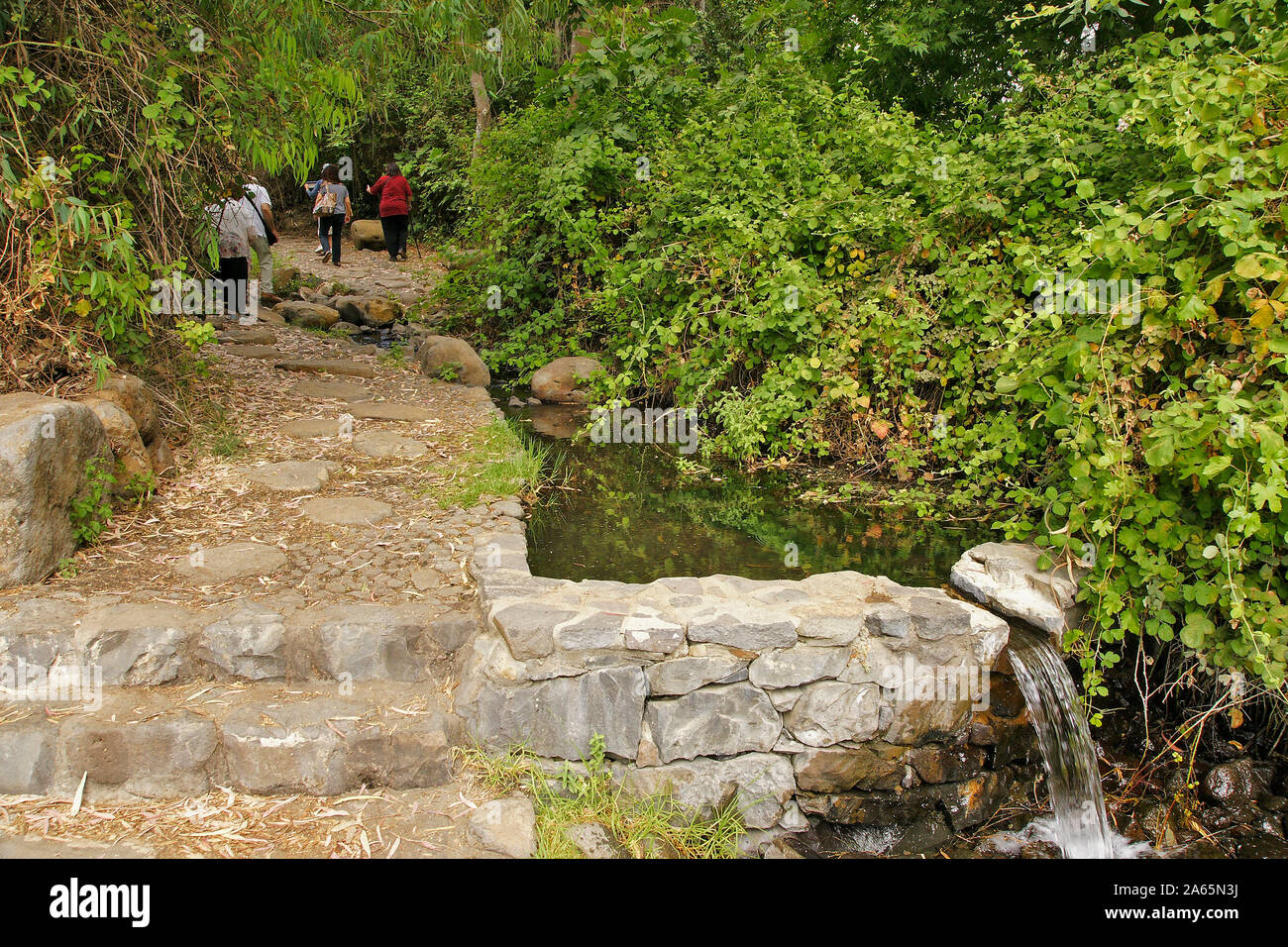 Eden Park, sur le plateau du Golan, Israël. Solukia printemps la source de l'eau minérale en bouteille Mei Eden Banque D'Images