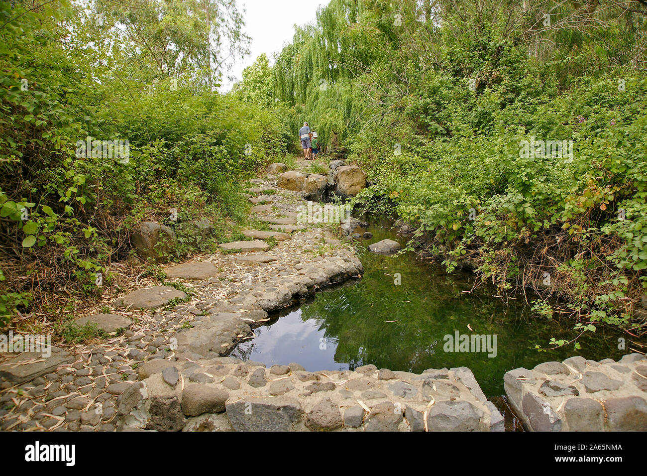 Eden Park, sur le plateau du Golan, Israël. Solukia printemps la source de l'eau minérale en bouteille Mei Eden Banque D'Images