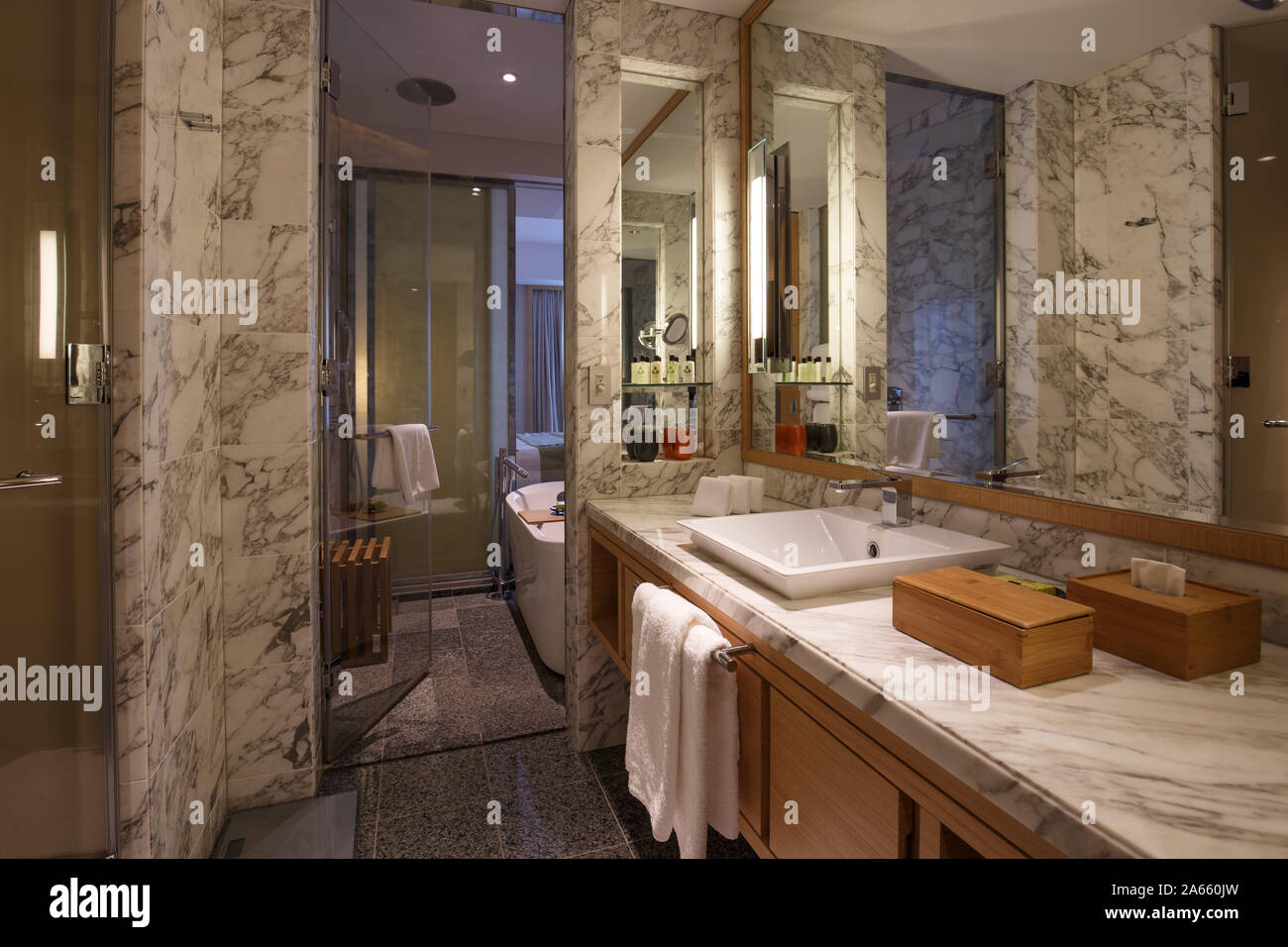Échantillon d'une salle de bains privative avec une baignoire en marbre dans un hôtel de luxe Banque D'Images