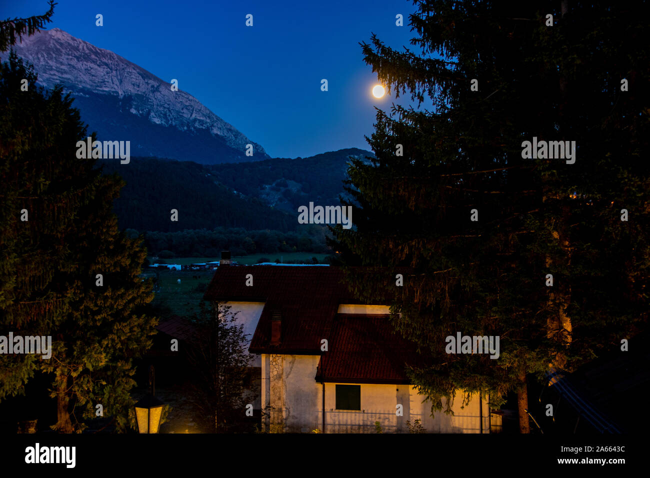 Une maison et un immense sapin sous le clair de lune à Giulianova, Italie Banque D'Images