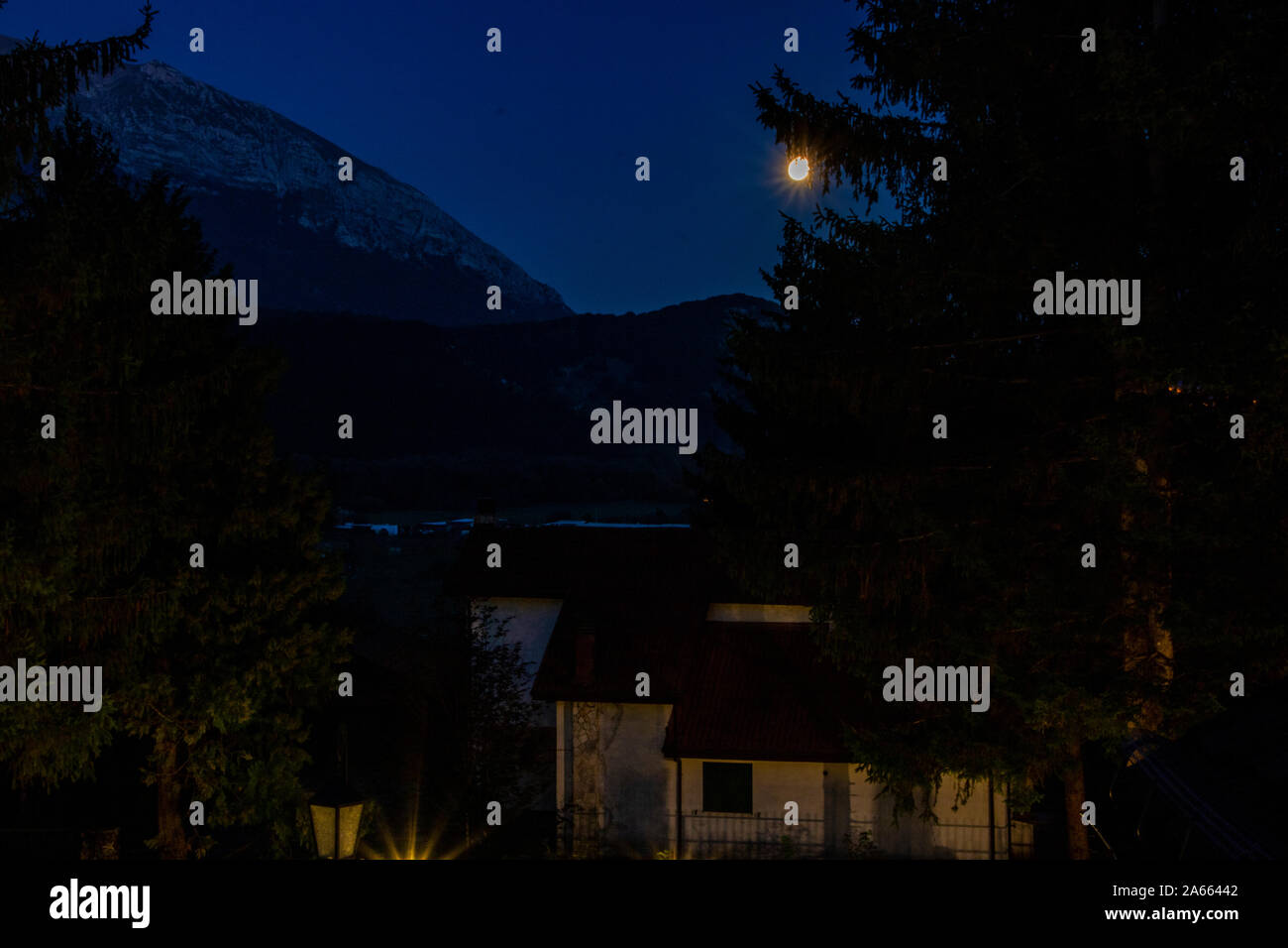 Une maison et un immense sapin sous le clair de lune à Giulianova, Italie Banque D'Images
