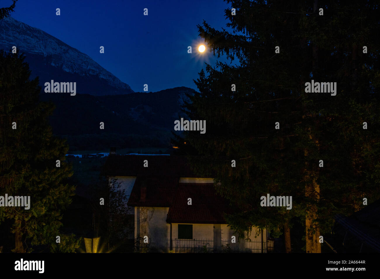 Une maison et un immense sapin sous le clair de lune à Giulianova, Italie Banque D'Images