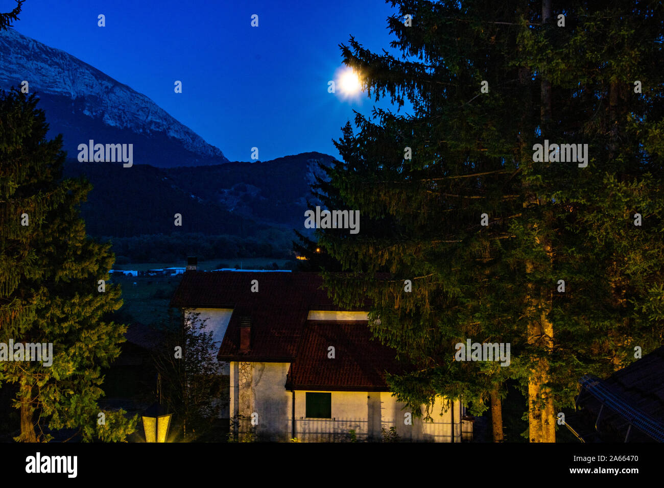 Une maison et un immense sapin sous le clair de lune à Giulianova, Italie Banque D'Images