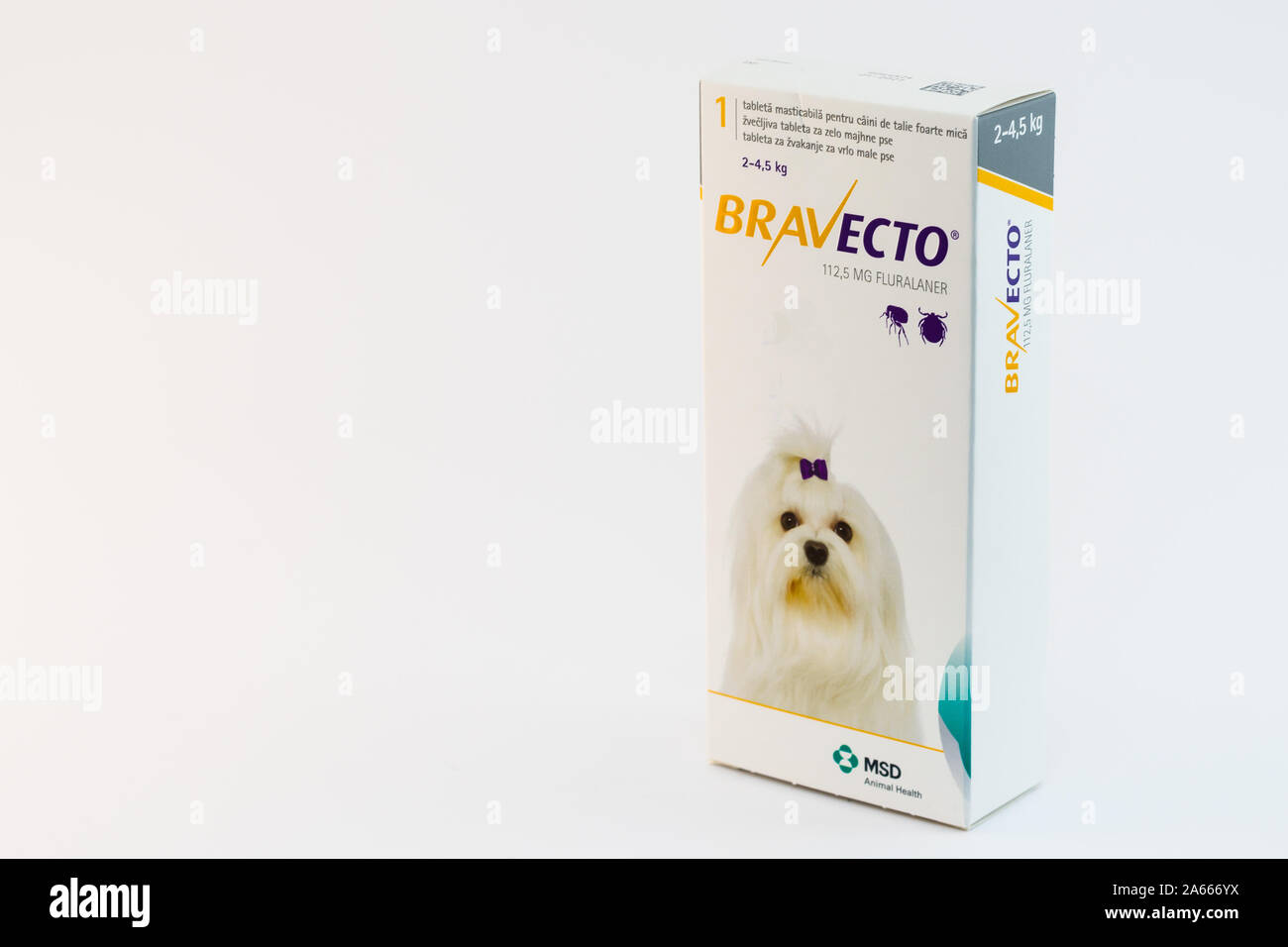 bravecto chewable