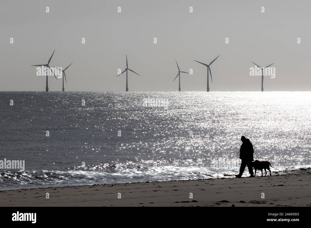 La solitude et la solitude. Paysage paisible image de personne seule à un chien. Mans meilleur ami. Des turbines de vent sur la plage mer horizon. Mindf Banque D'Images