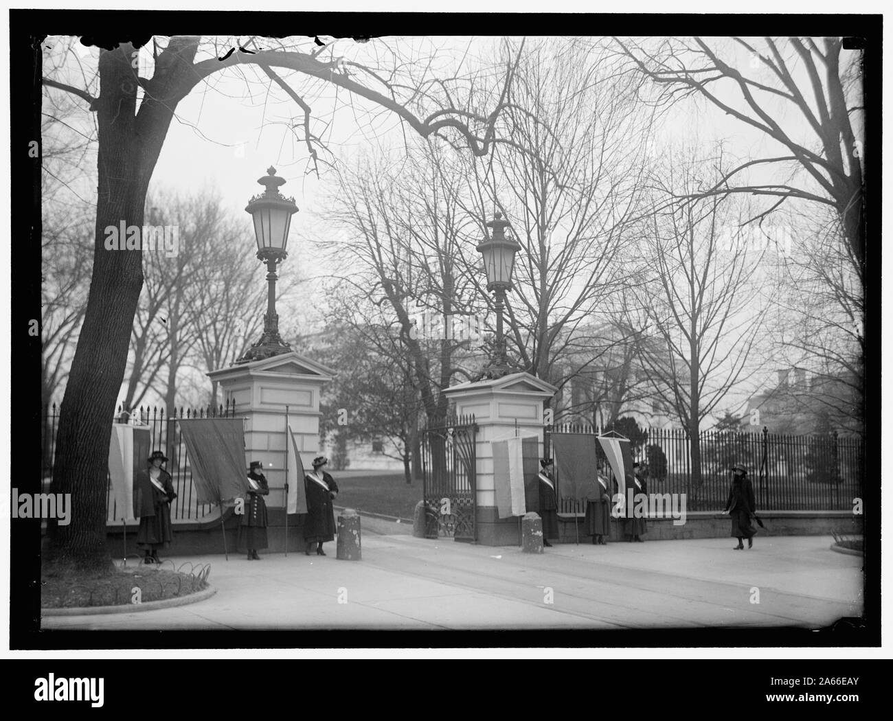 Piquets de suffrage FEMME Banque D'Images