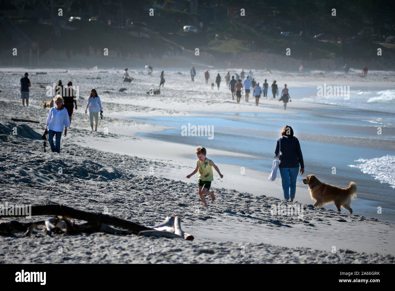 Les touristes sur la plage de Carmel -by-the-Sea California USA Banque D'Images