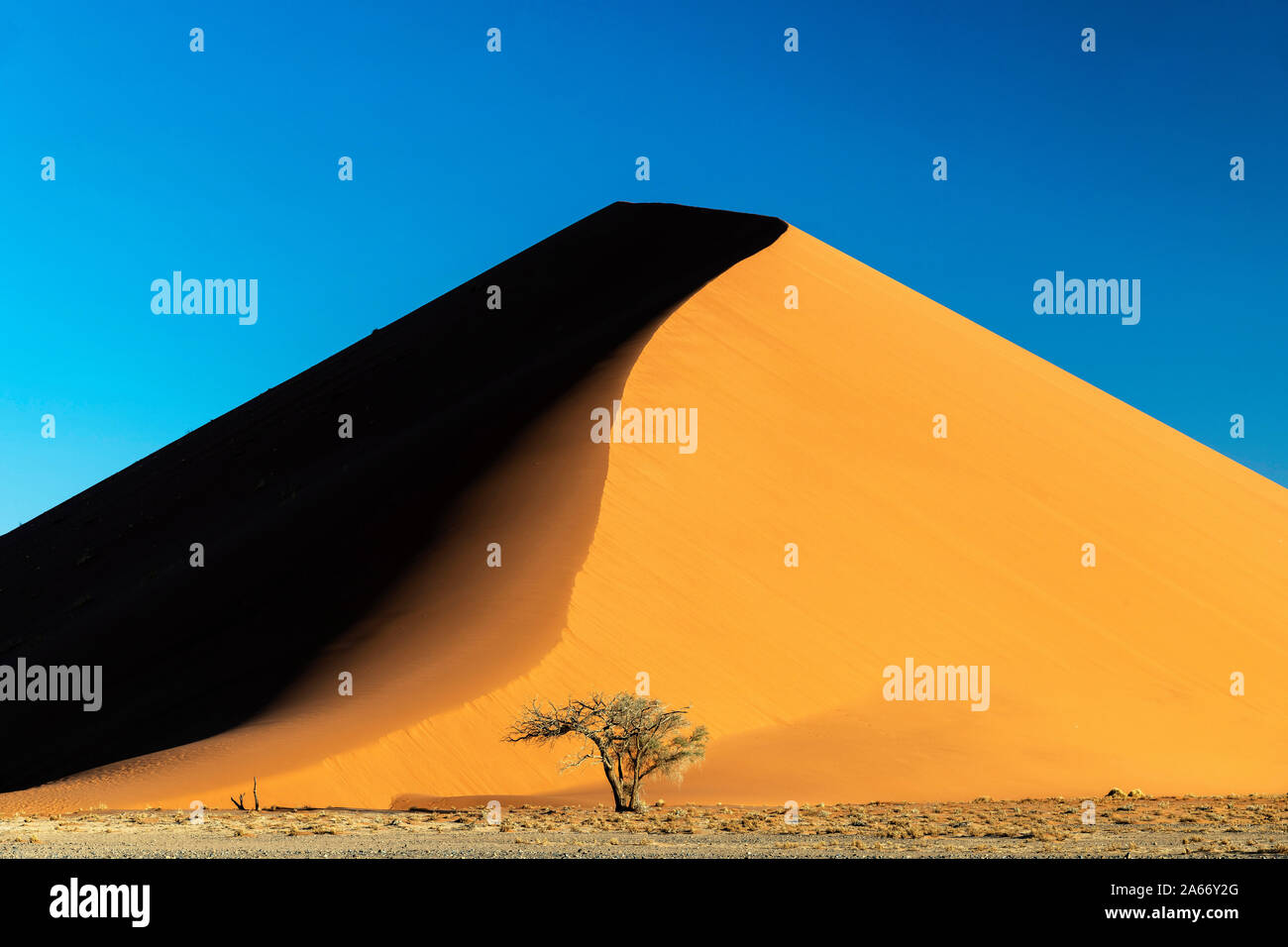 Dune de sable, Namib-Naukluft National Park, Sesriem, Namibie Banque D'Images