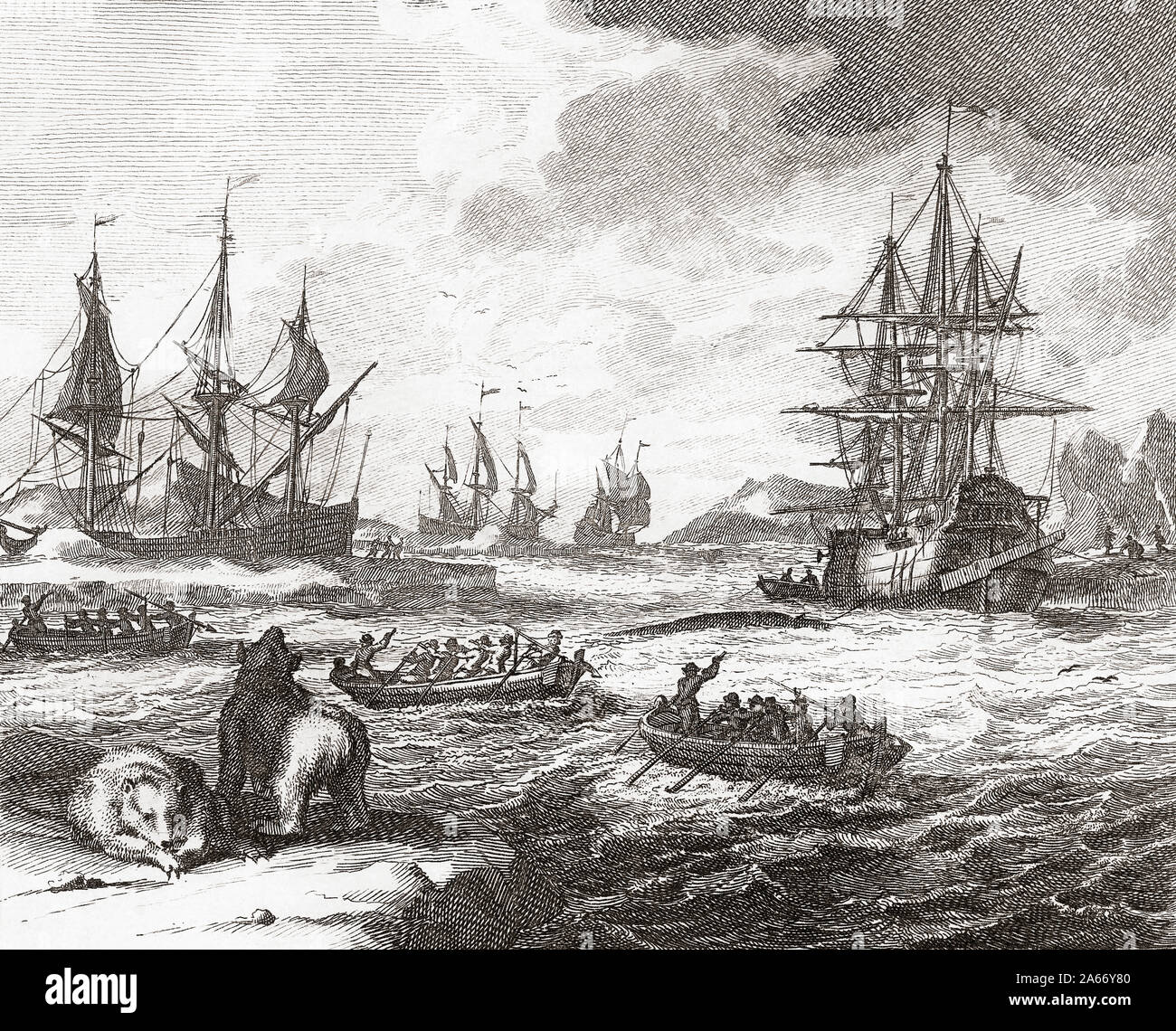 La chasse à la baleine dans l'Arctique au début du 18e siècle. Les baleines, les ours polaires. À partir d'une gravure contemporaine. Banque D'Images