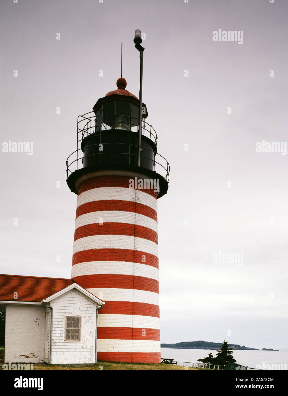 Quoddy Head Light dans l'Ouest Lubec, Maine, le point le plus à l'Est des États contigus des États-Unis et le point le plus proche de l'Europe d'un point dans les 50 États Banque D'Images