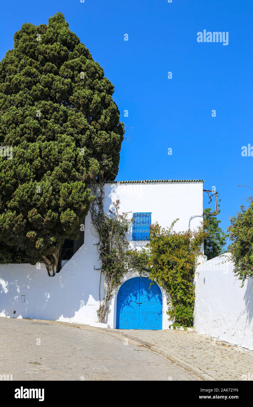 La Tunisie, pittoresque village blanc de Sidi Bou Said Banque D'Images