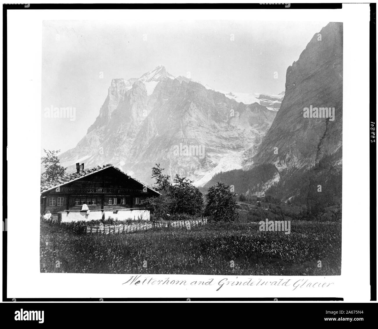 Wetterhorn et Glacier de Grindelwald Banque D'Images Wetterhorn et Glacier de Grindelwald Banque D'Images