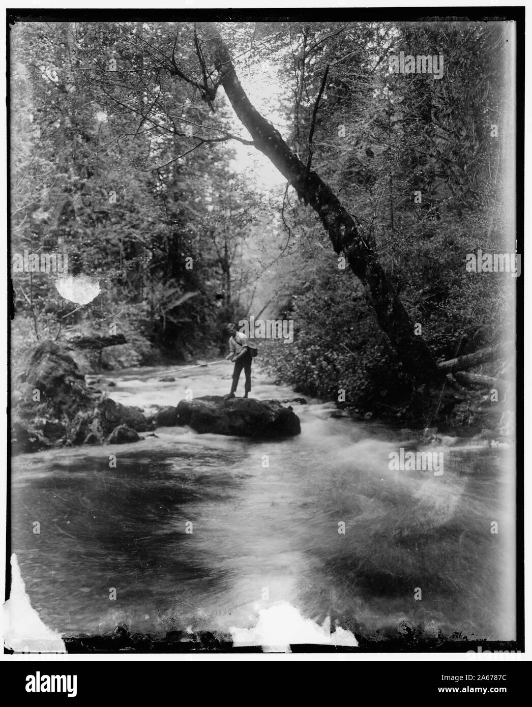 Où la truite leap. L'île de Vancouver, C.-B. L'un des ruisseaux de montagne, dans lequel le sport pour meubler la truite pêcheurs et touristes qui s'arrêter pour quelques heures casting, 6/10/36 Banque D'Images