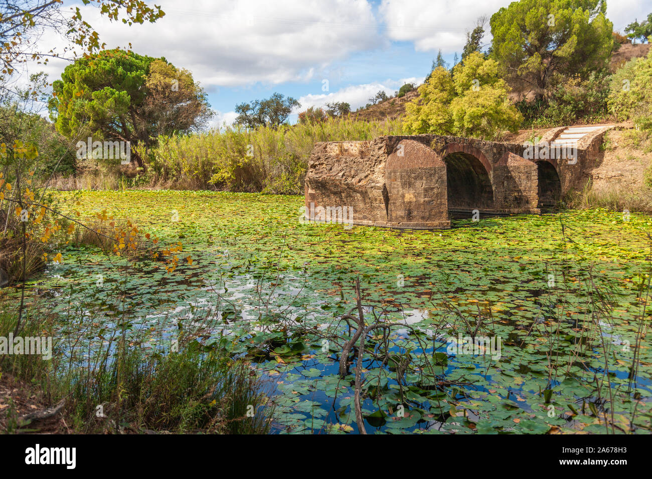 Ruines du pont romain étang recouvert de nénuphars à la campagne au portugal Banque D'Images