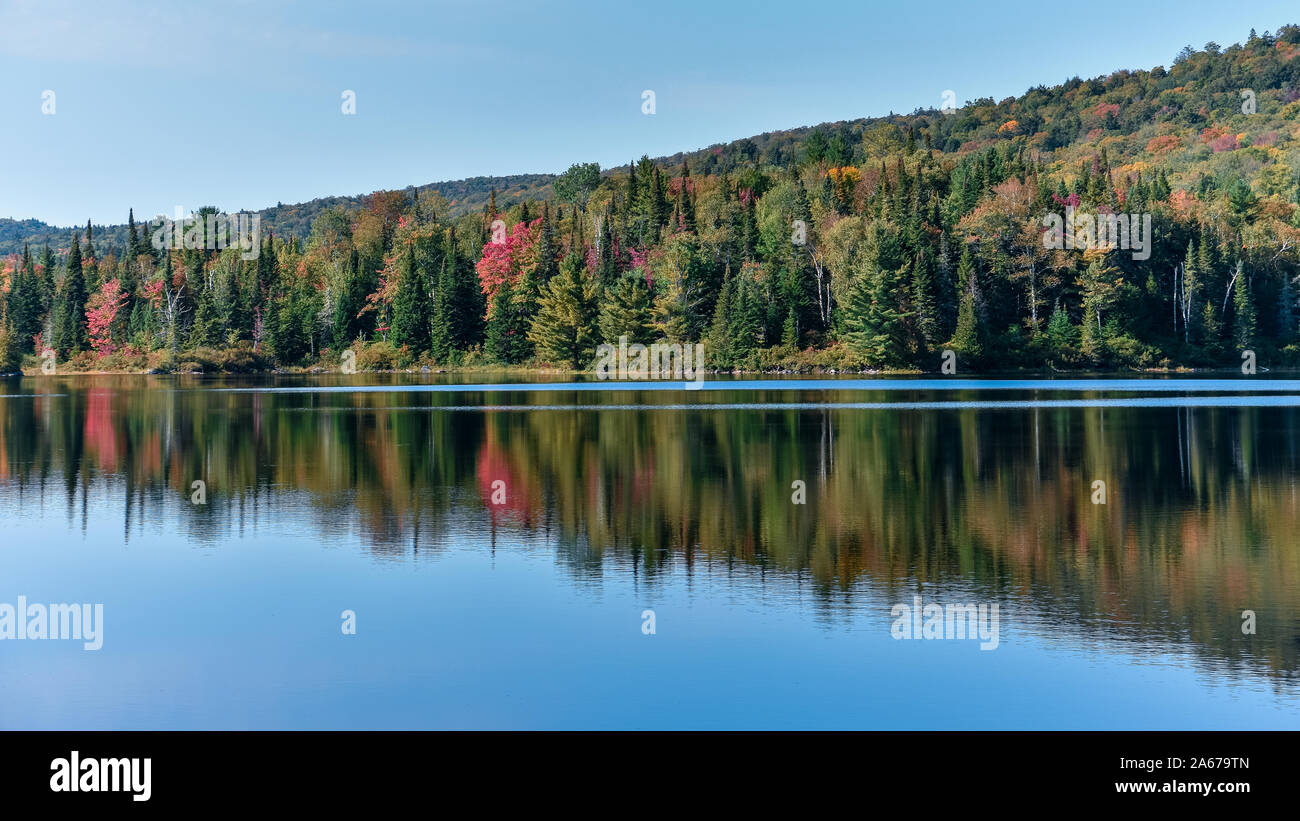 Paysage de forêt d'automne et de réflexion dans le lac. Le Parc National de la Mauricie, Canada. Banque D'Images