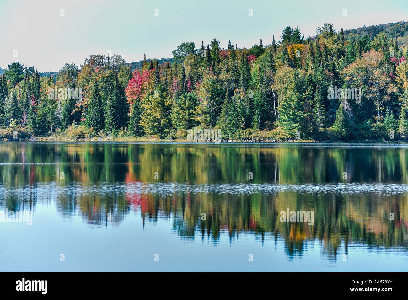 Paysage de forêt d'automne et de réflexion dans le lac. Le Parc National de la Mauricie, Canada. Banque D'Images
