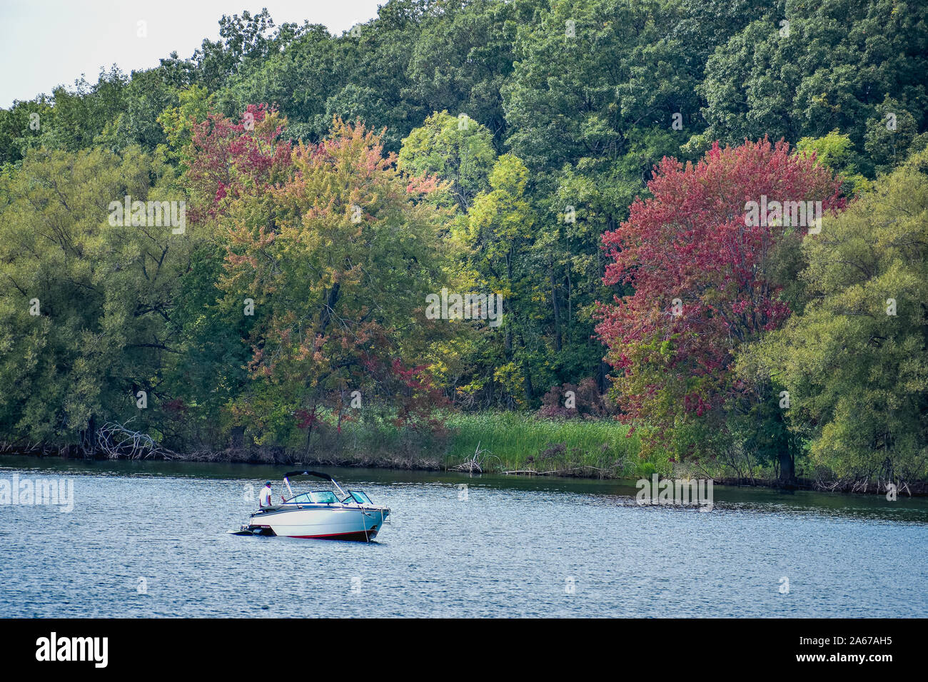 Bateau dans le lac Ontario à l'automne. Des arbres colorés. Canada Usa. Banque D'Images