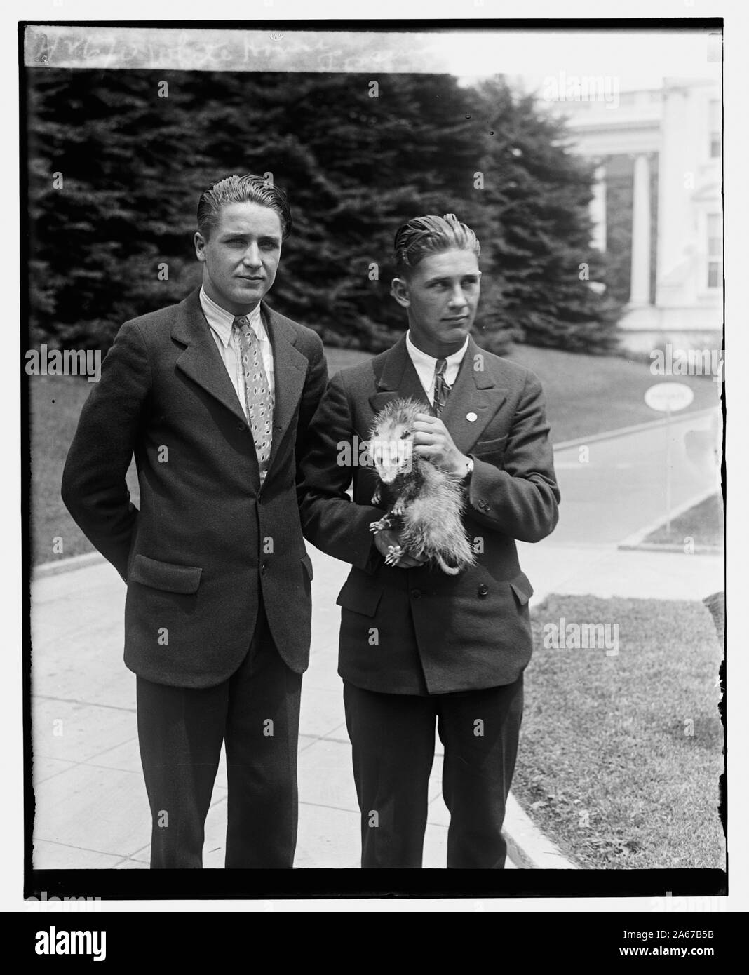 Maison blanche possum, 5/25/29 Banque D'Images