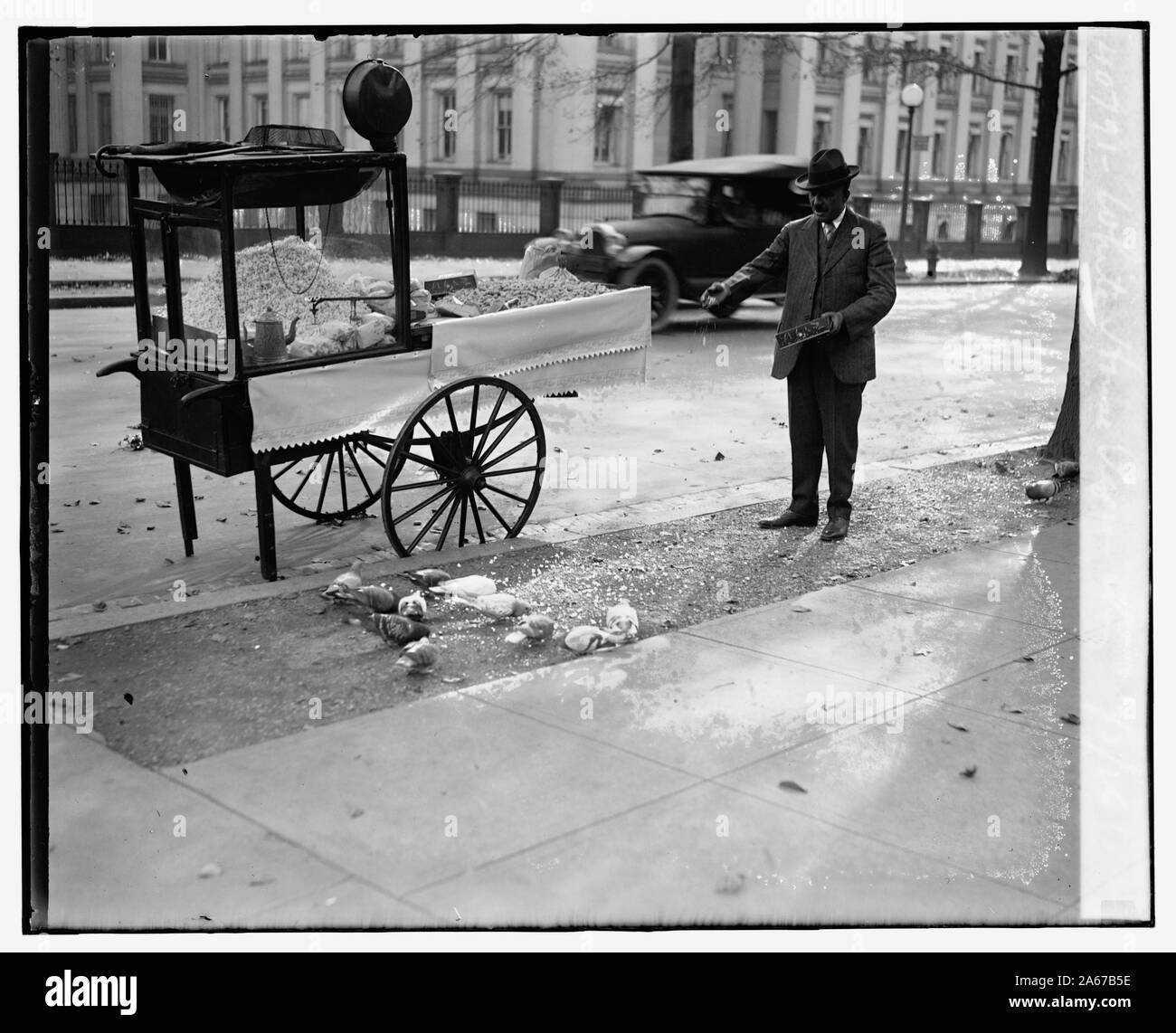 Histoire de pigeon de la Maison Blanche, 11/3/26 Banque D'Images