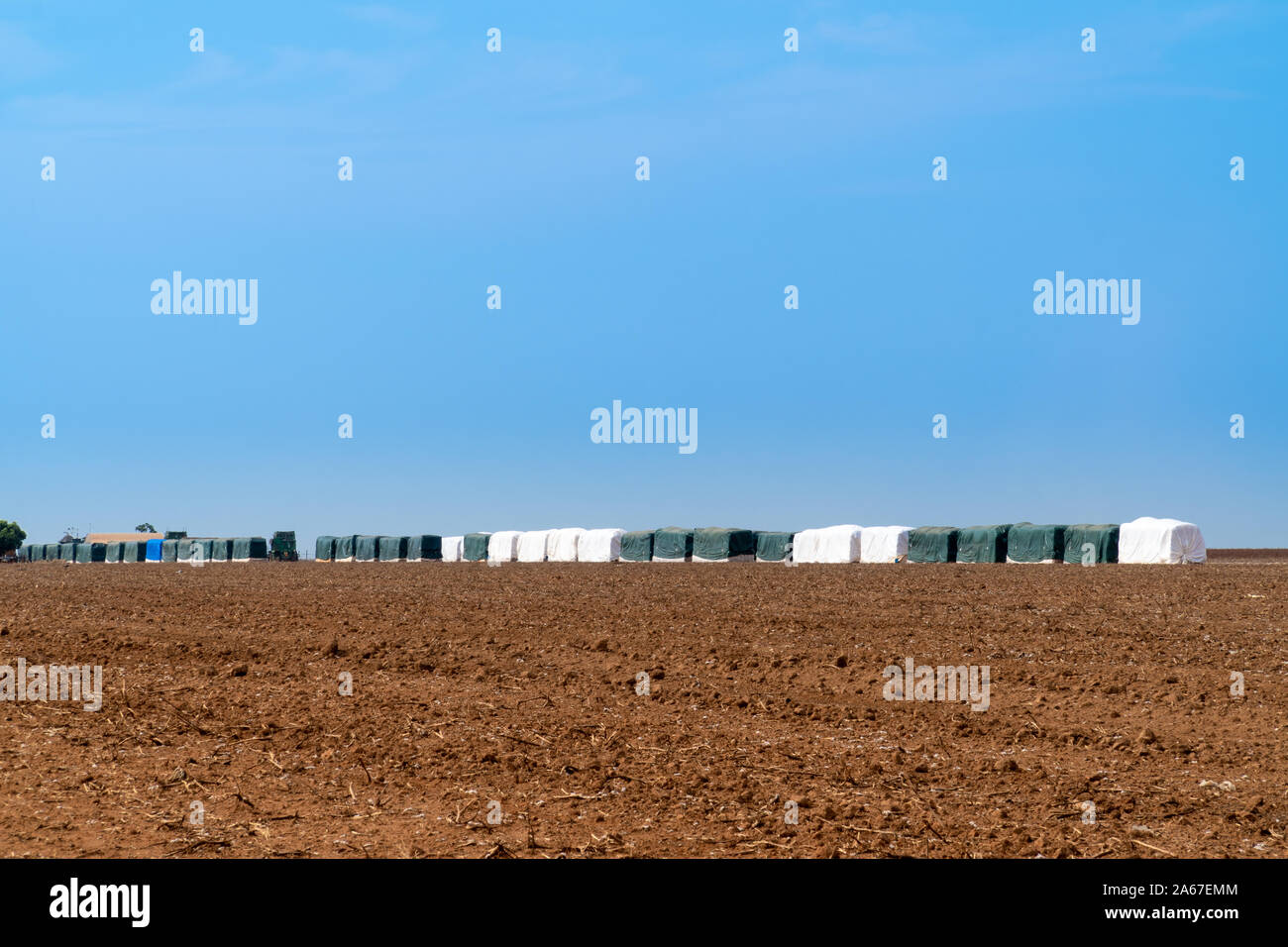 Les balles de coton pour l'exportation en plastique après la récolte en champ agricole dans le Mato Grosso, Brésil. Concept de production, l'agriculture, la logistique. Banque D'Images