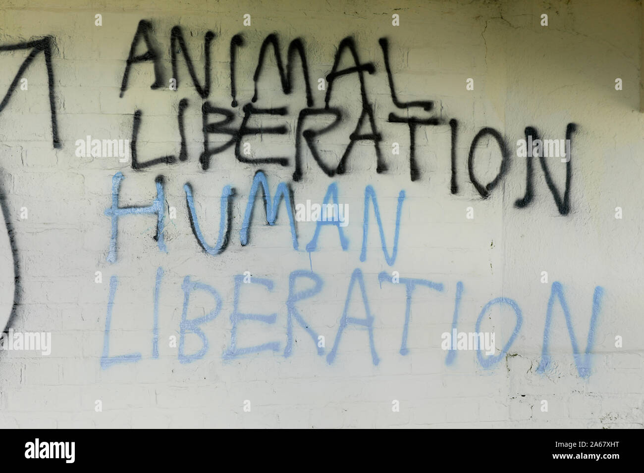 Front de libération des animaux de l'écriture Graffiti Banque D'Images