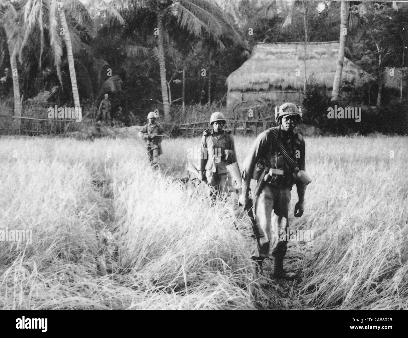 Prise de vue pleine longueur de plusieurs militaires américains, marchant dans une ligne vers la caméra à travers un champ ouvert, avec des expressions appréhensives sur leurs visages, Vietnam, 1965. () Banque D'Images