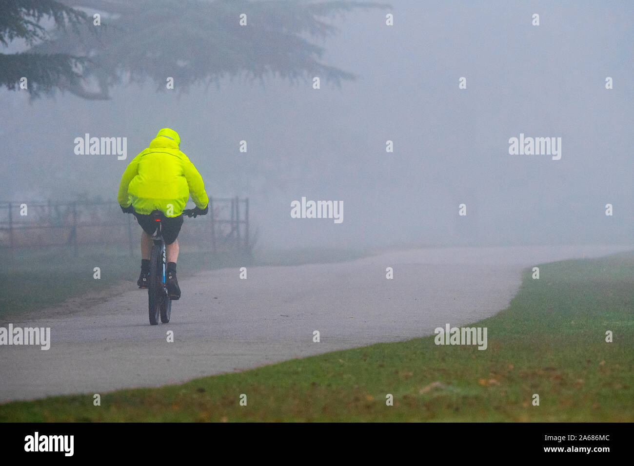 Brouillard à basse altitude le beauty spot de Bradgate Park dans le Leicestershire se félicite de tôt le matin cycliste. Banque D'Images