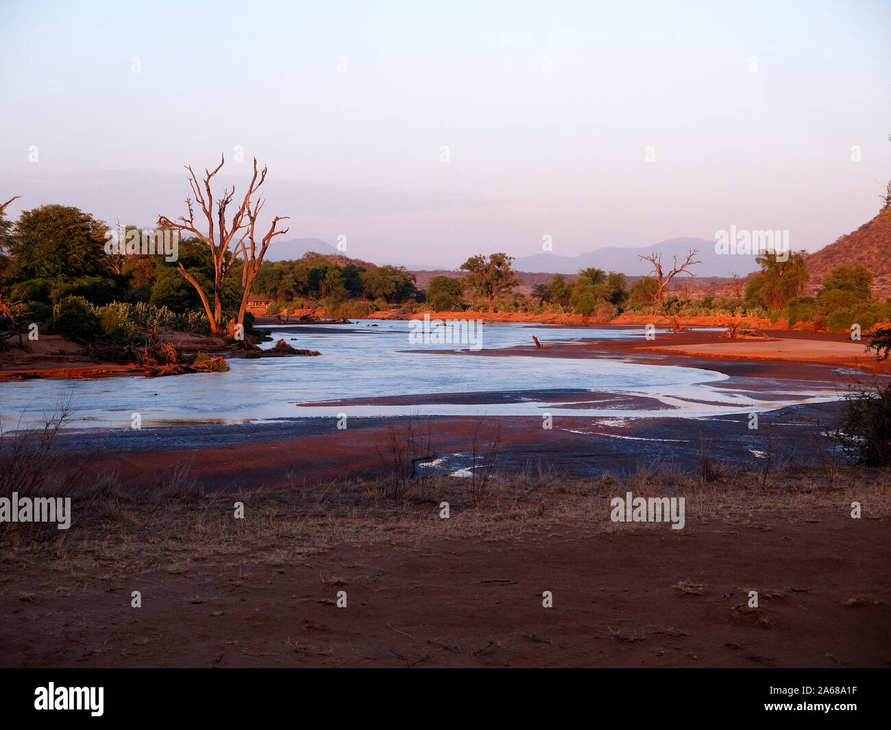 La Réserve nationale de Samburu, fleuve Ewaso Nyiro, Kenya, septembre 2019 Banque D'Images