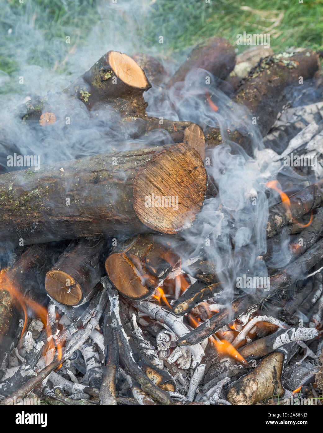 Des flammes rouges et orange d'une combustion du bois pour feu de camp / brûler des rameaux. Les compétences de survie survie, métaphore, entraînement aventurier, maintien au chaud, le feu des compétences de l'éclairage. Banque D'Images Des flammes rouges et orange d'une combustion du bois pour feu de camp / brûler des rameaux. Les compétences de survie survie, métaphore, entraînement aventurier, maintien au chaud, le feu des compétences de l'éclairage. Banque D'Images