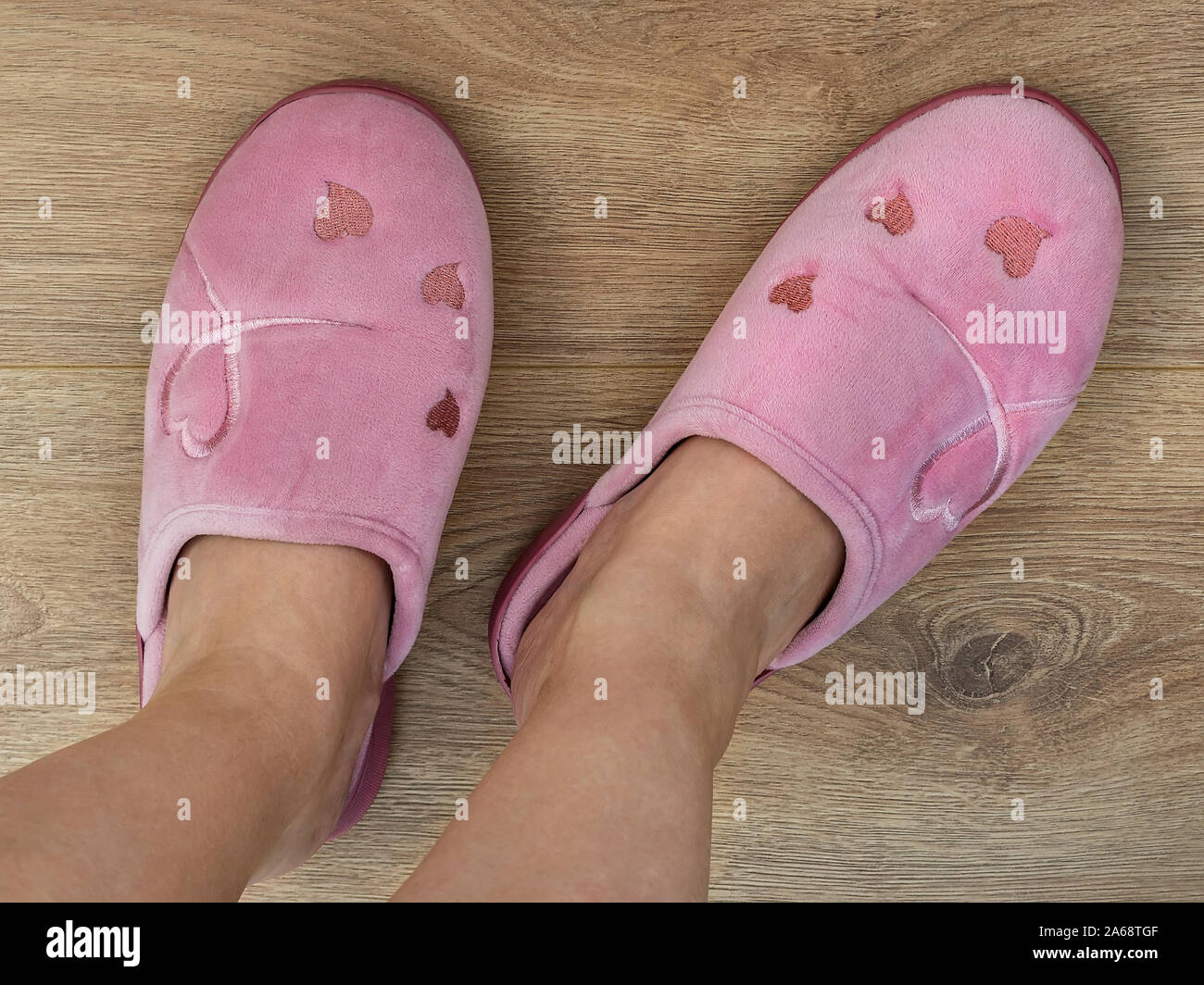 Les femmes pieds sont chaussés dans une maison rose chaussons. Confortable, chaleureux et confortable, les chaussures. Sur un plancher en bois brun. Vue d'en haut. Banque D'Images