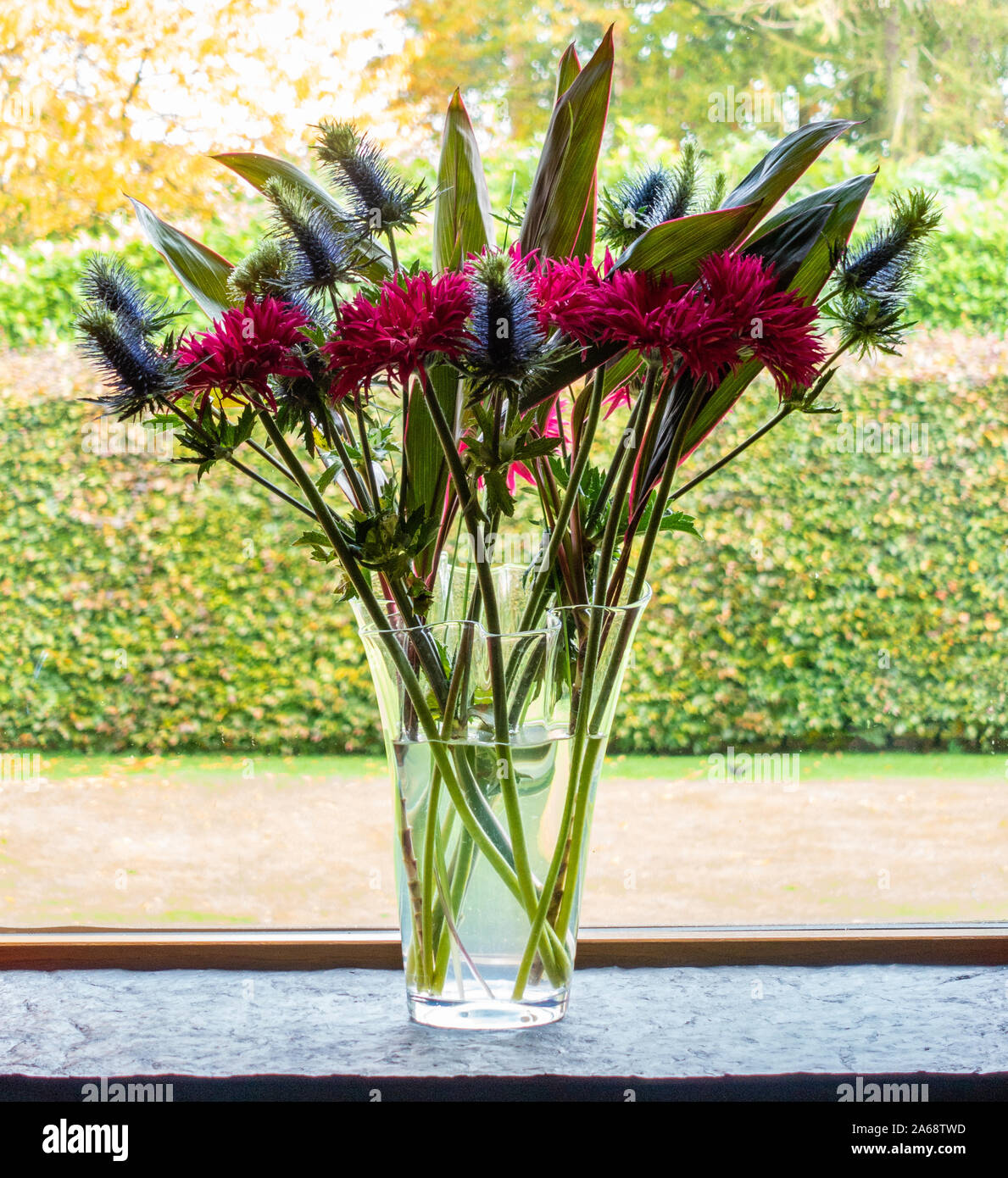 Arrangement de fleurs dans un vase en verre clair Banque D'Images