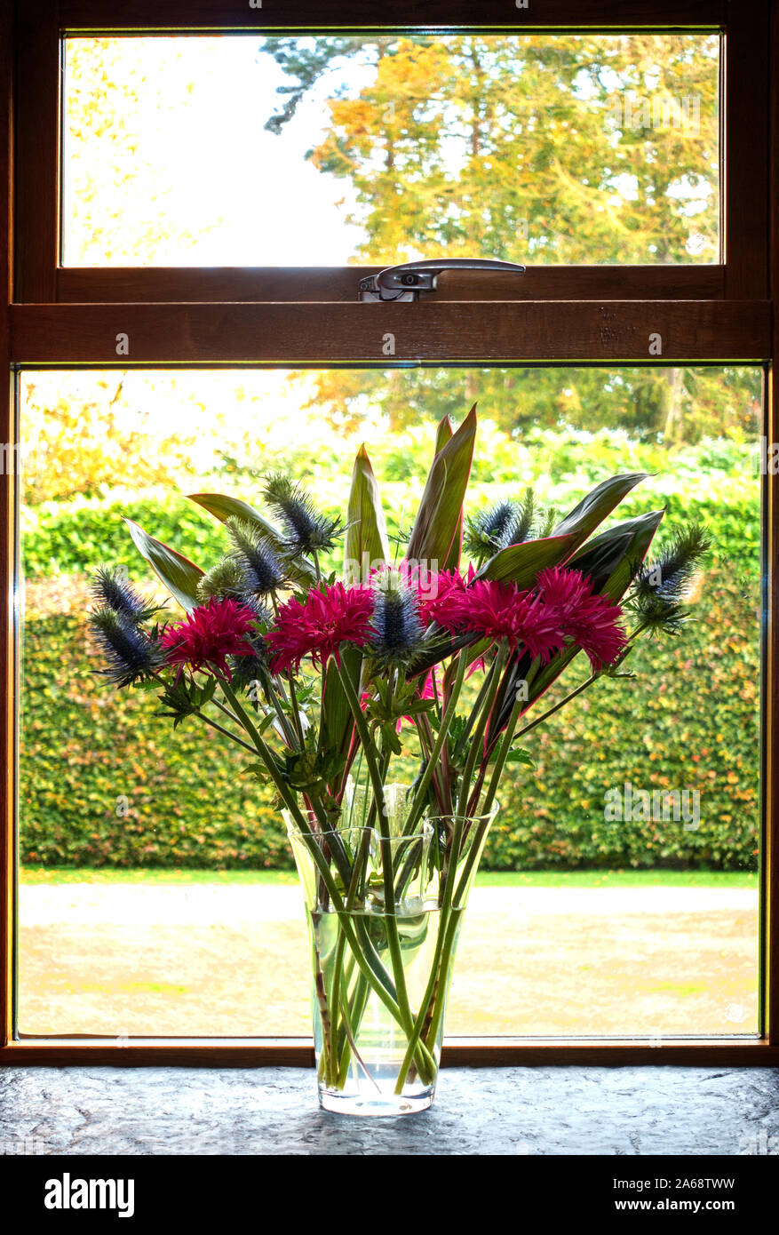 Arrangement de fleurs dans un vase en verre clair Banque D'Images
