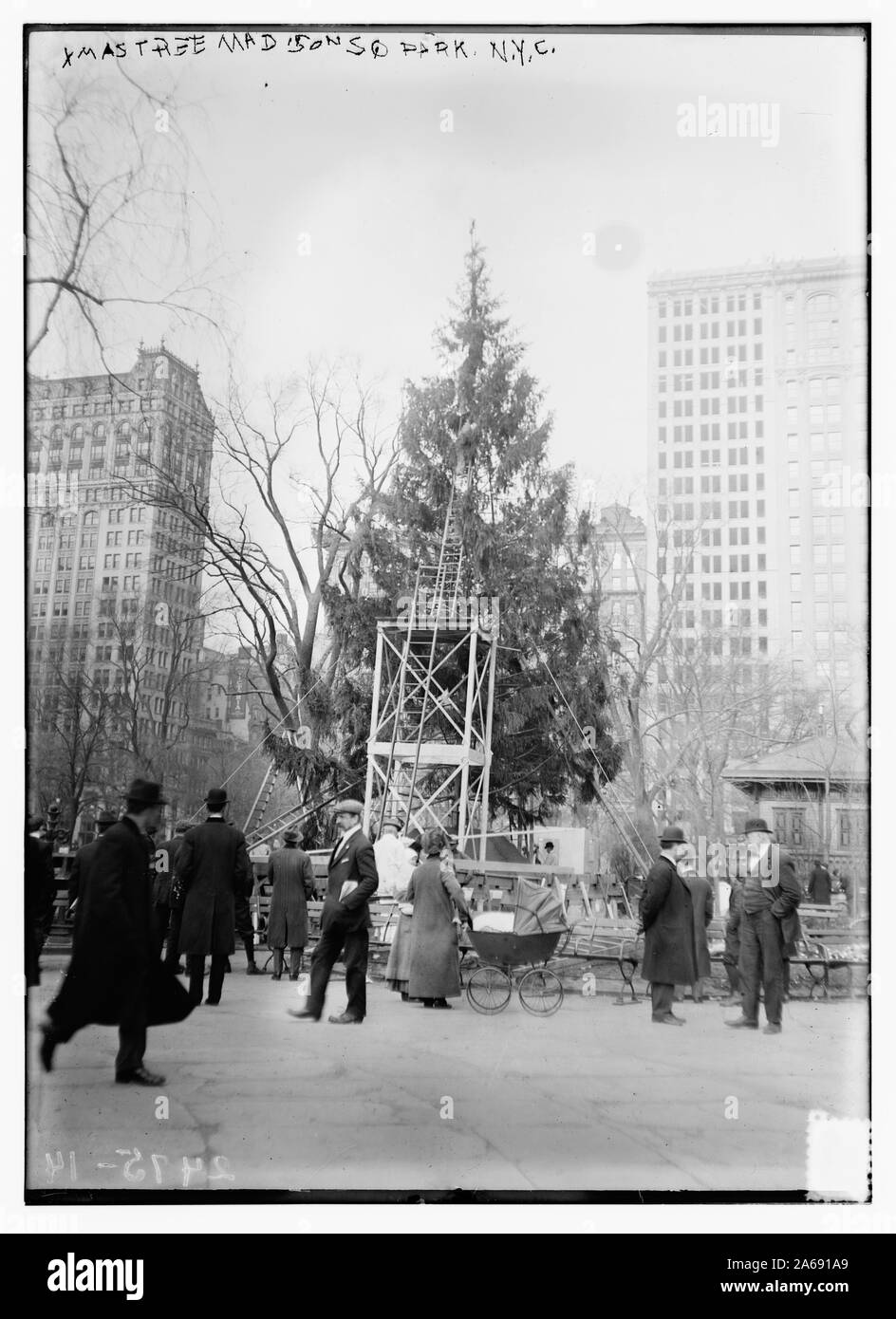 Arbre de Noël à Madison Sq. Parc, N.Y.C. Banque D'Images