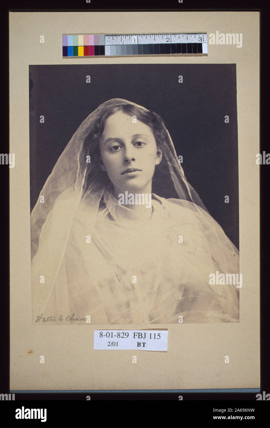 Jeune femme drapée de matériaux diaphanes,face à l'avant, half-length portrait] / Walter G. Chase Banque D'Images