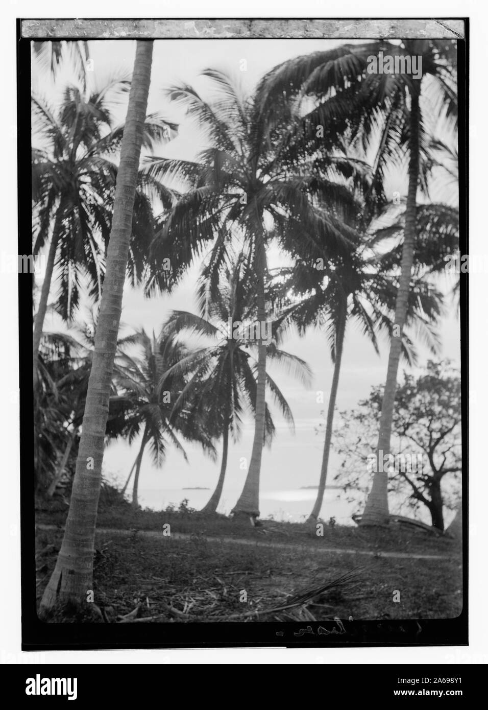 Zanzibar. Banque D'Images