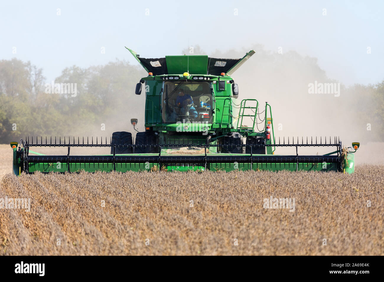 La récolte de soja sud de Wapello, Iowa. Banque D'Images
