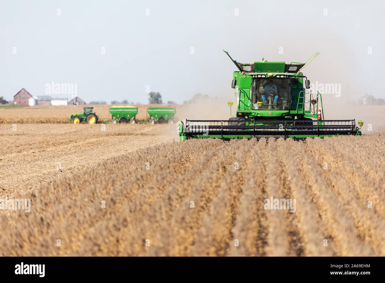 La récolte de soja près de Roscoe, Iowa. Banque D'Images