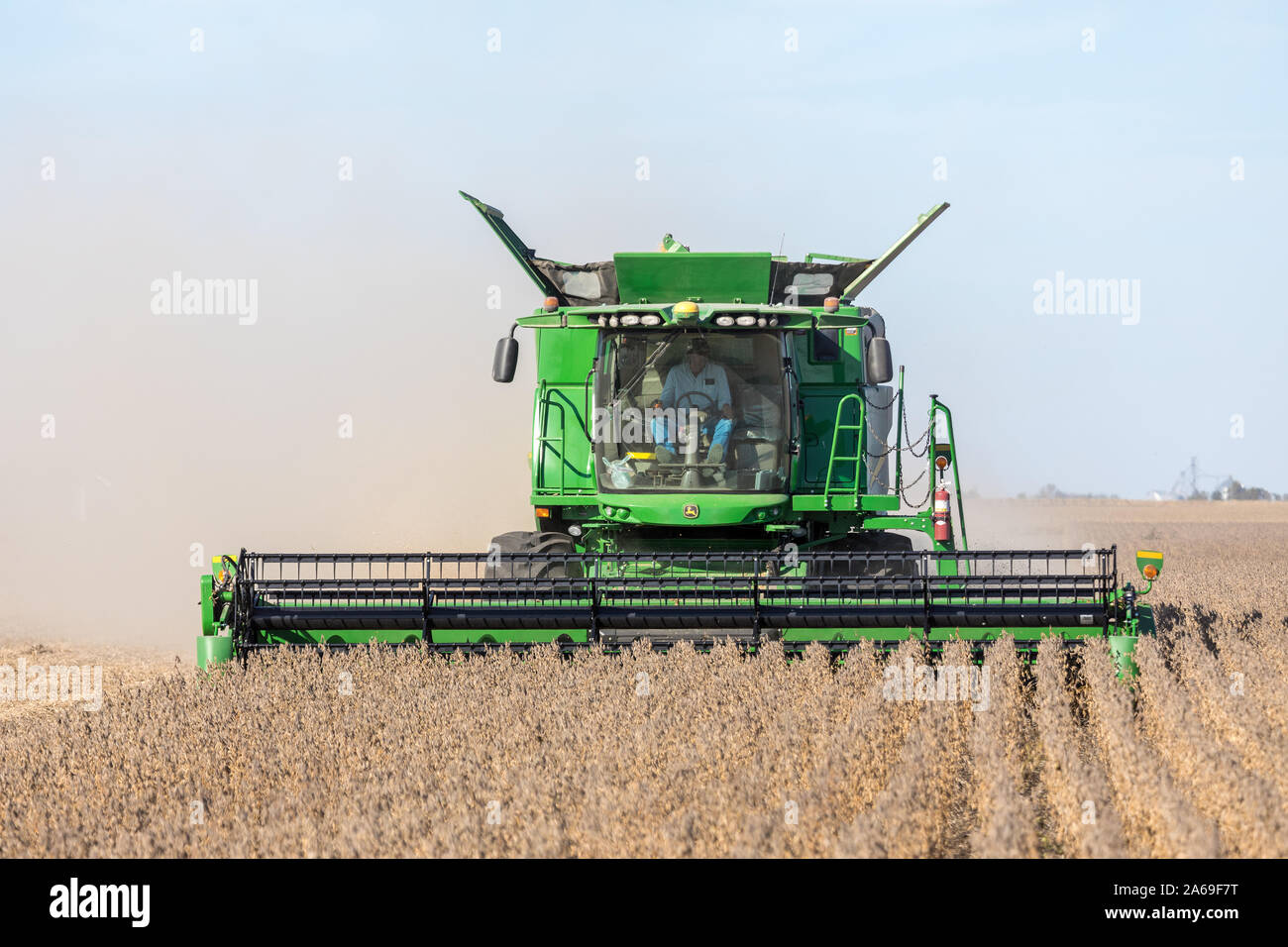 La récolte de soja près de Roscoe, Iowa. Banque D'Images
