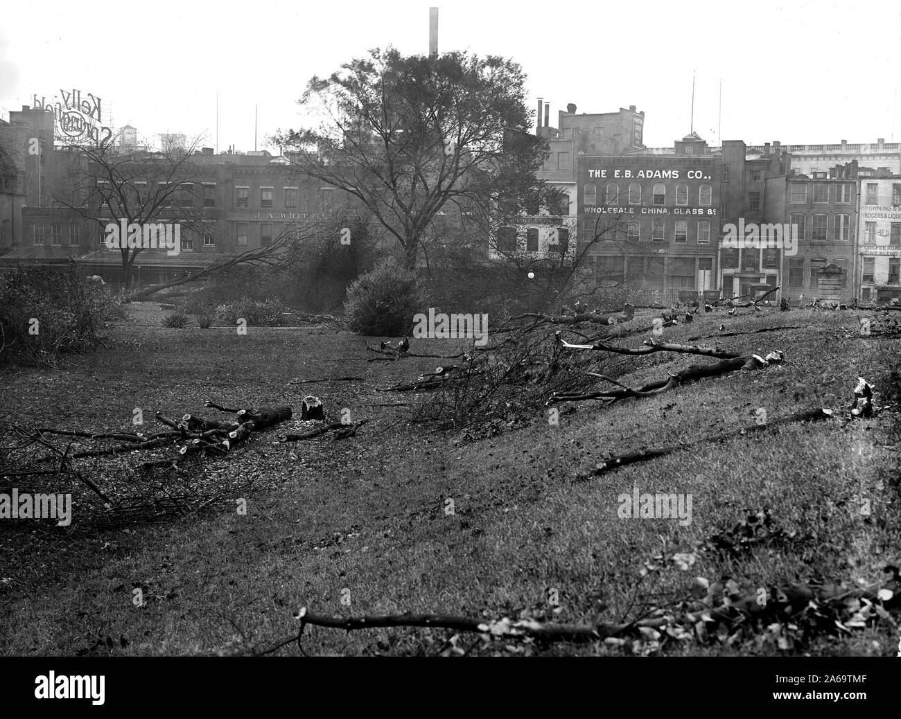 District de Columbia Parcs - la coupe des arbres sur des sites centre commercial pour les nouveaux bâtiments de guerre ca. 1917 Banque D'Images
