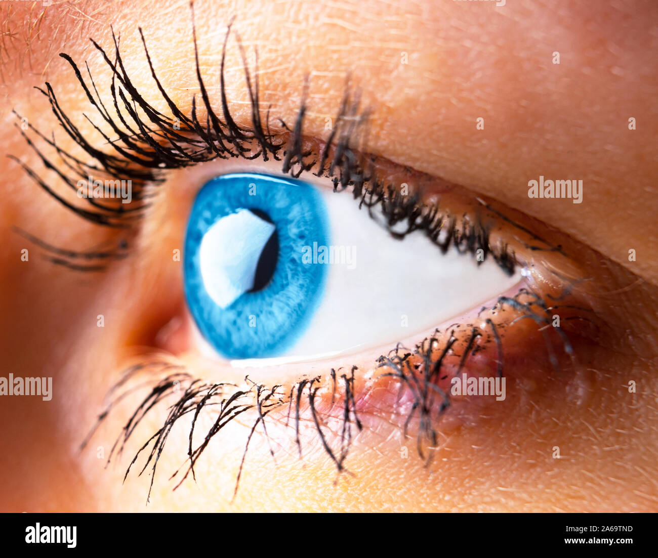 Bel oeil humain close-up. Jeune femme d'un oeil bleu l'analyse macro. Gros plan macro shot jusqu'à l'œil. Détail macro oeil humain. Banque D'Images