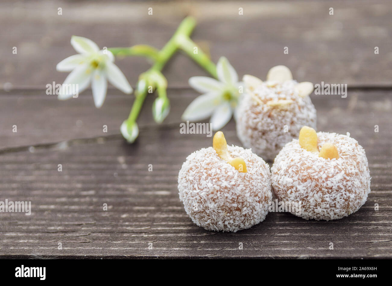 Trois boules de matières premières aux noix de cajou, dates et la noix de coco . Sans cuisson dessert vegan, parfait pour nettoyer eaters. Bonbons sains avec arrière-plan de l'espace de copie. Banque D'Images